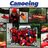CanoEireTrng's profile image