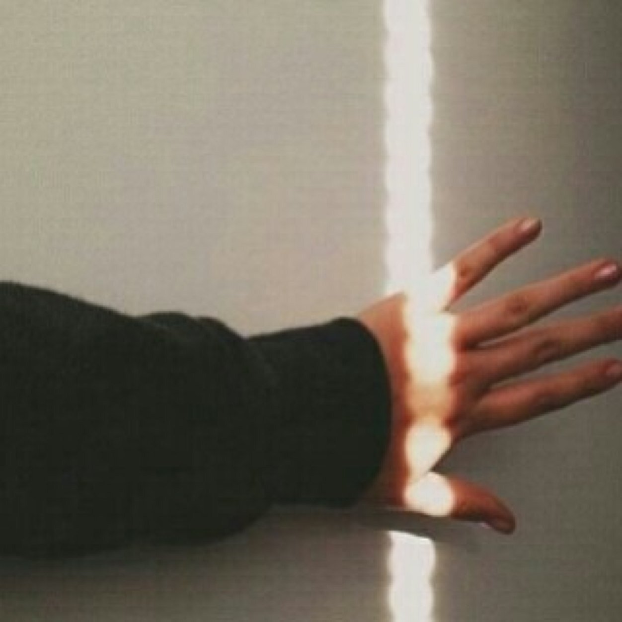 estknan_fars's profile picture. 