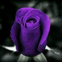 EVA (@1968Vicaria) Twitter
