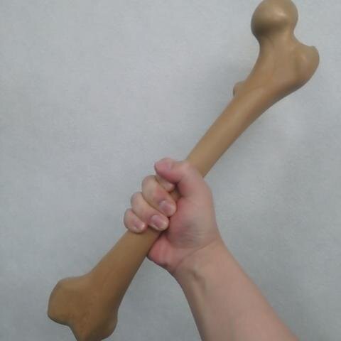 ekimaeseitai's profile picture. 大腿骨の形の素晴らしさといったら