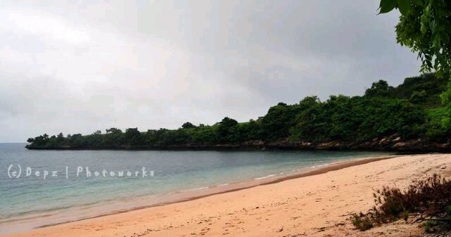 jojotsai1012's profile picture. 