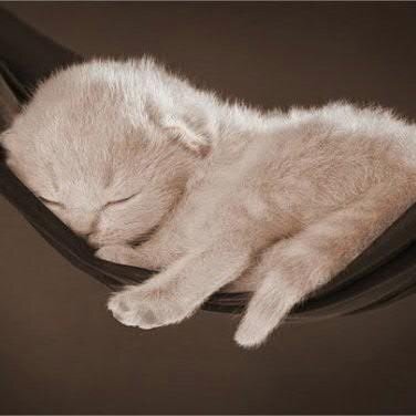 Galina_Snezhka's profile picture. 