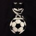 Pembroke Boro AFC (@pembrokeboroafc) Twitter profile photo
