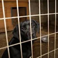 vicmartindale's profile picture. 