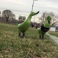 WDHS Girls Lacrosse (@wdglax) 's Twitter Profile