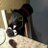 d3fl4t3's profile image