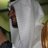 SahmeiH's profile image