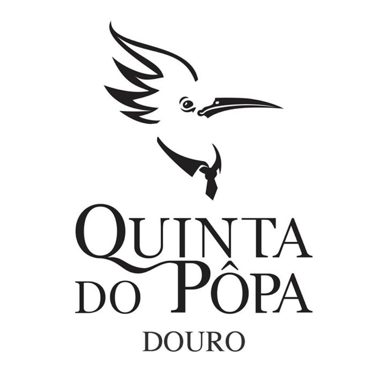 Wine Producer in the Douro Valley, from the most noble grapes of the region | Wine Tourism | Douro Concierge | Wine Advisor