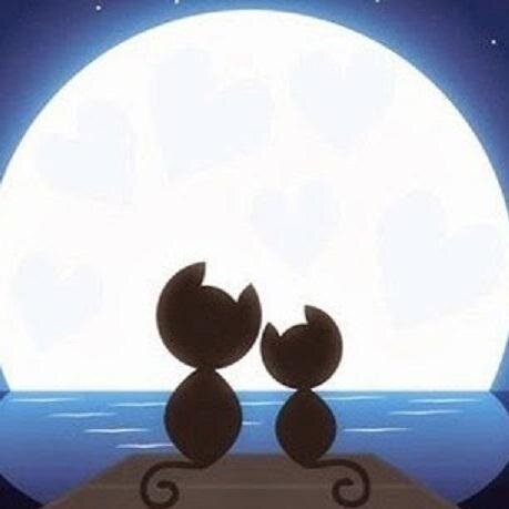 koh_amanda80's profile picture. 