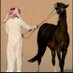 ʊ̤gᒪᓆȷɹ̣ (@hamad01407) Twitter profile photo