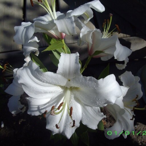 MaureenForsberg's profile picture. Mom, Educational Associate, Volunteer + a whole lot more!