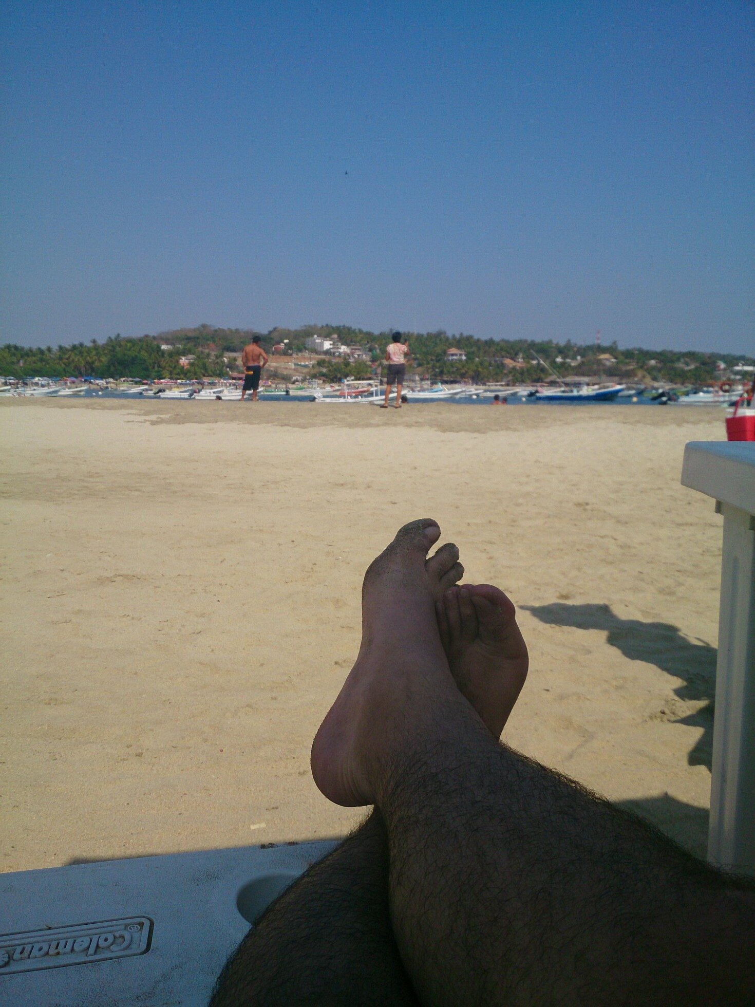 VJorgerodriguez's profile picture. 