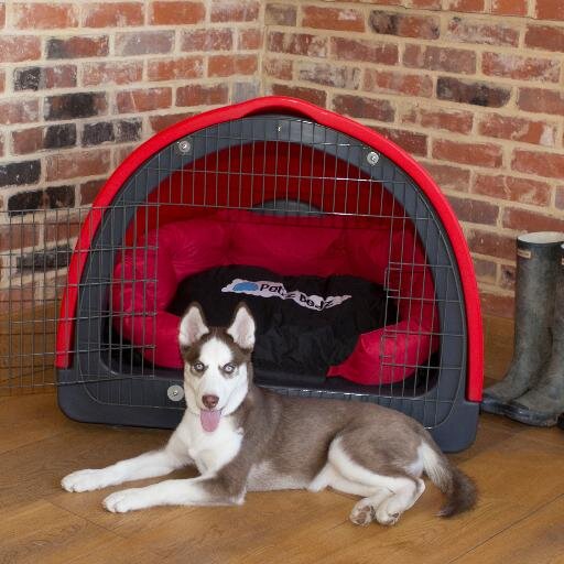 Worlds first replicated DOG DEN which has been tried and tested by the UK's leading VETS and CANINE behavorial specialsts available now @ http://t.co/L6y6pfOo