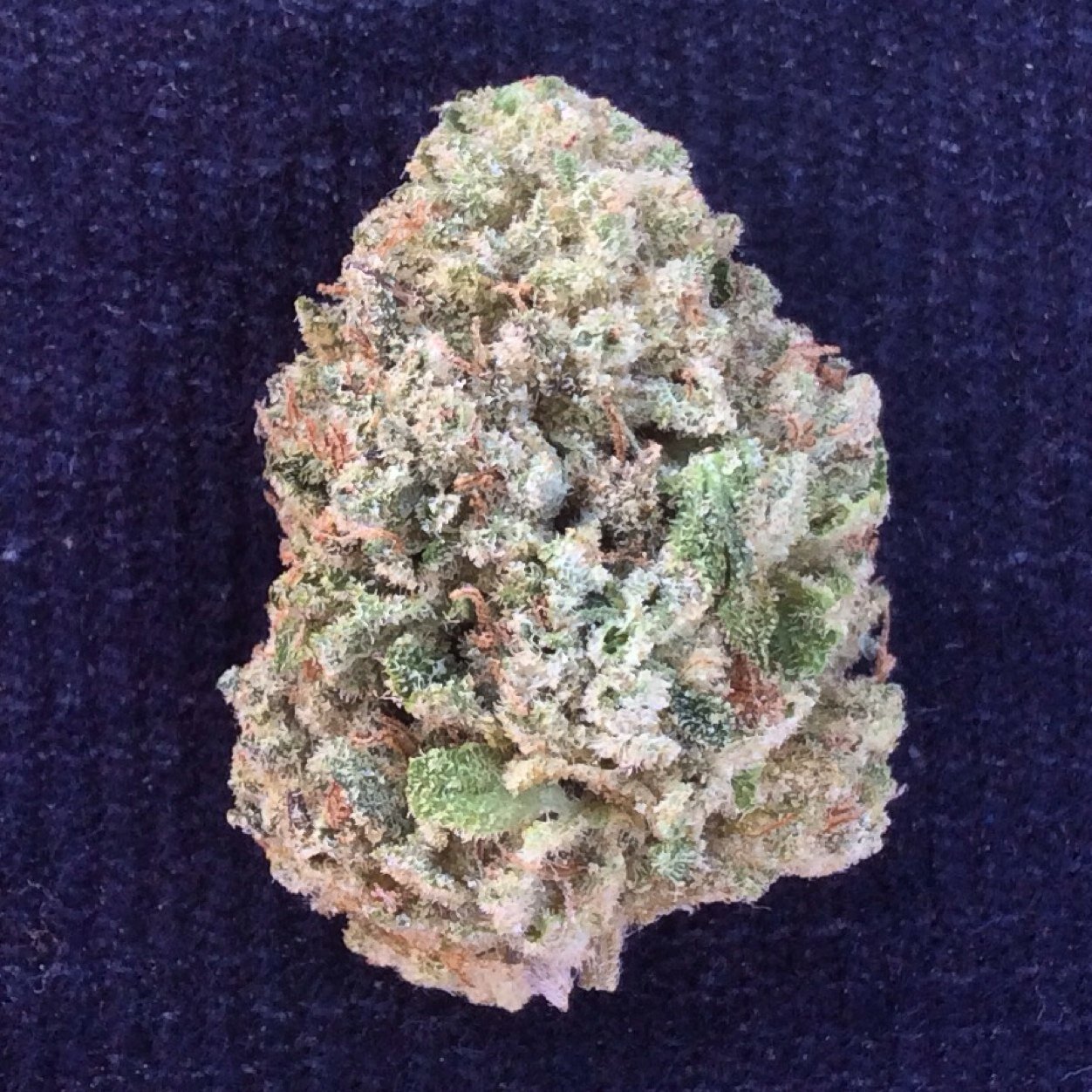 bcnthc's profile picture. Are you looking for a membership at Barcelonas finest coffee shops? Send us an email or DM and we will give you all information needed. bcnthc@gmail.com