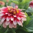 Sarah Lear - @Sarahblear - Twitter