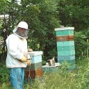 Keith Molnar - @keithbeeguy - Twitter