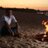 Carmagnola81's profile image