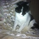 deborah shearer - @debbielucie - Twitter