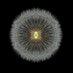 FlowerFotoFineArt (@flower_foto) Twitter profile photo FlowerFotoFineArt (@flower_foto) Twitter profile photo