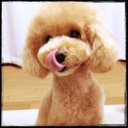 tell-me (@0525HAPPYDAY) Twitter