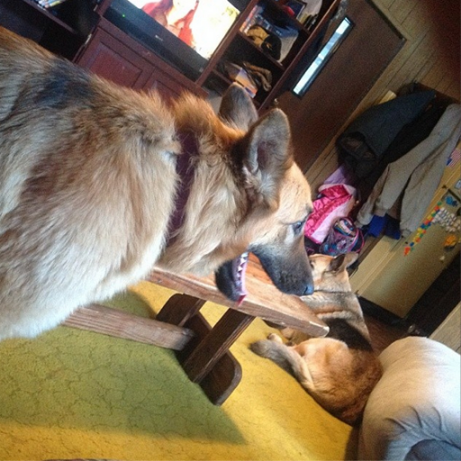 AviatorOro's profile picture. Like hanging with friends and gaming AviatorOro on Instagram also a huge directioner!!!