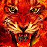 K26Tiger's profile picture. online sales, cryptocurrency trader, online poker player, business man, parent