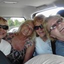 Darlene Singer - @waydardaisy - Twitter
