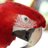 TacoBird's profile image