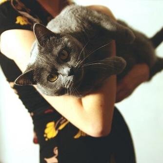 People say nothing is impossible, but I do nothing every day.