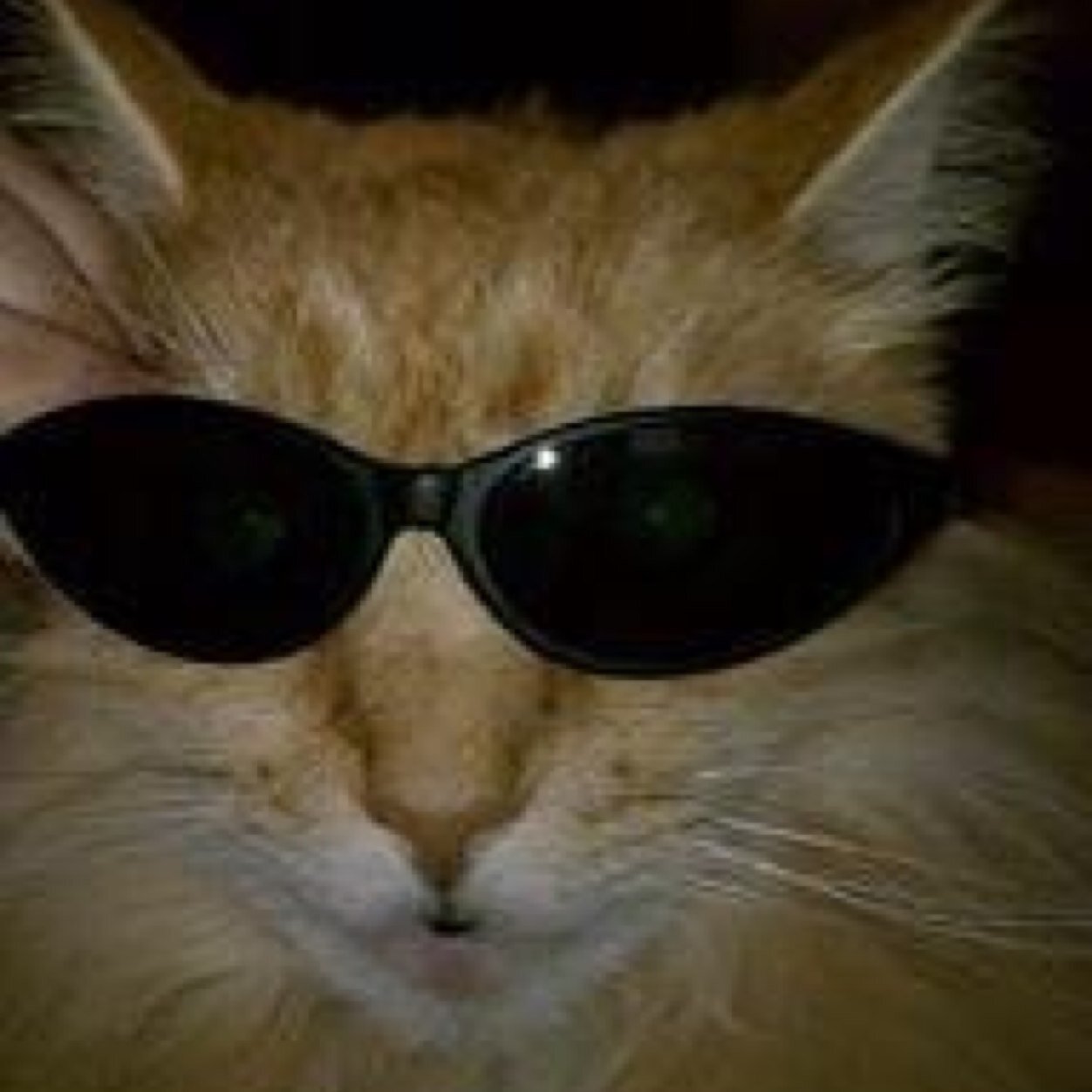 joshmiracle75's profile picture. 