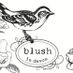 Blush in Devon (@blushindevon) Twitter profile photo