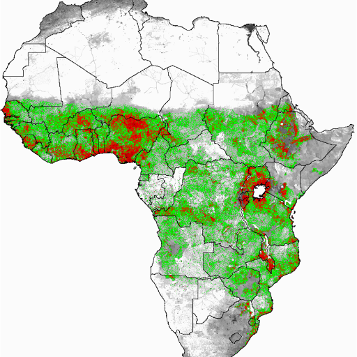 Malaria Modelling Group @Imperial 
The Malaria Modelling Group constructs models to better understand the transmission dynamics of malaria.