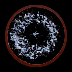 DarkAmbientRadi's profile picture. Dark Ambient Radio