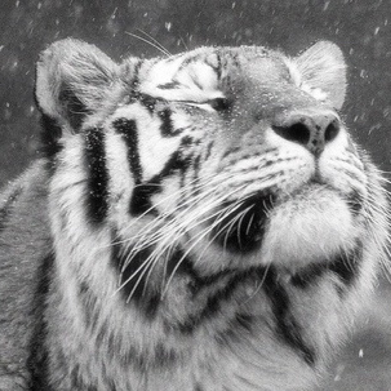 sosyzall's profile picture. Con el tiempo aprendes a convivir con unos y a sobrevivir con otros