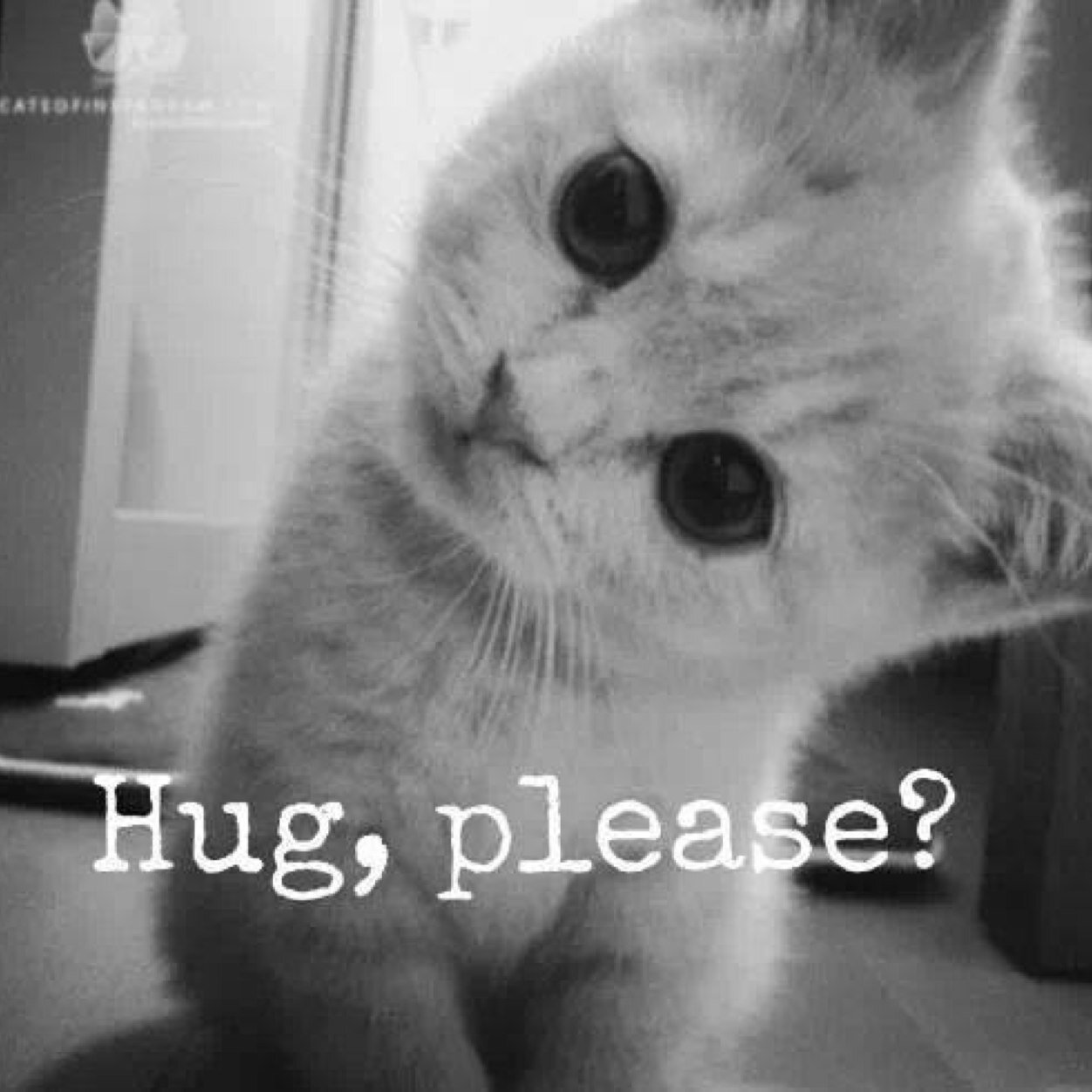 tronkgabb's profile picture. Ni te espero, ni te busco