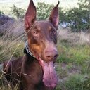 Paul Vassar - @VassarPaul - Twitter