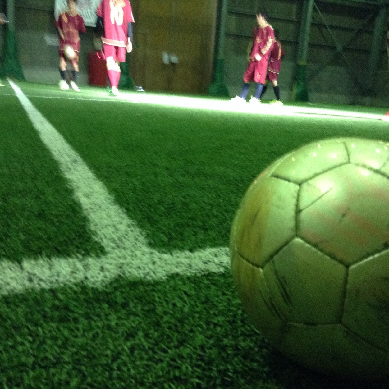 Hikone_Cats's profile picture. 滋賀大学経済学部のフットサルサークル彦根CATSのアカウントですが、、活動休止中です