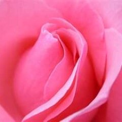 BrendaS02274947's profile picture. 