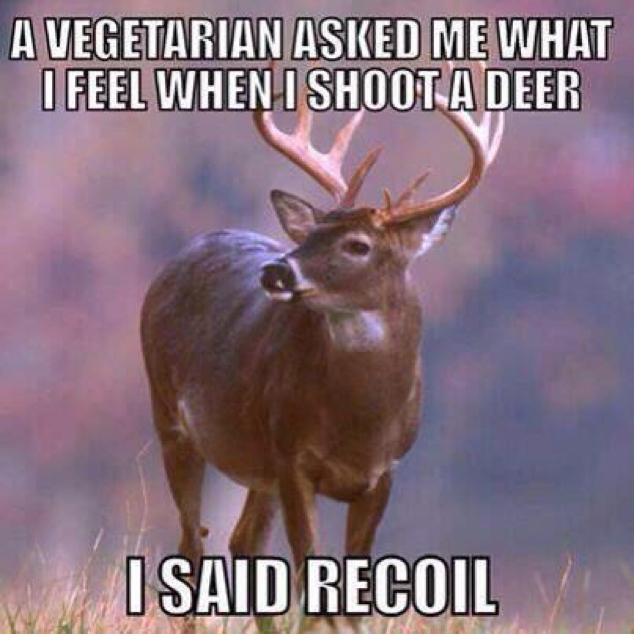 Novice hunter looking to gain as much knowledge as possible. Share what I learn and enjoy Mother Nature.  #FairChase Hunting / trying to stay in #HuntingShape