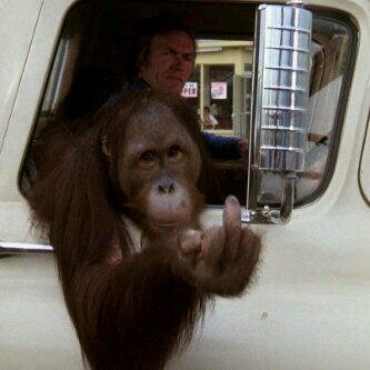 FrankTheCooter's profile picture. 