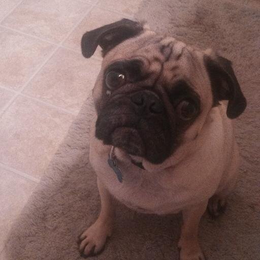 kshafier's profile picture. Wife, mom, friend, Catholic, Packers fan, IU alumna, coffee addict