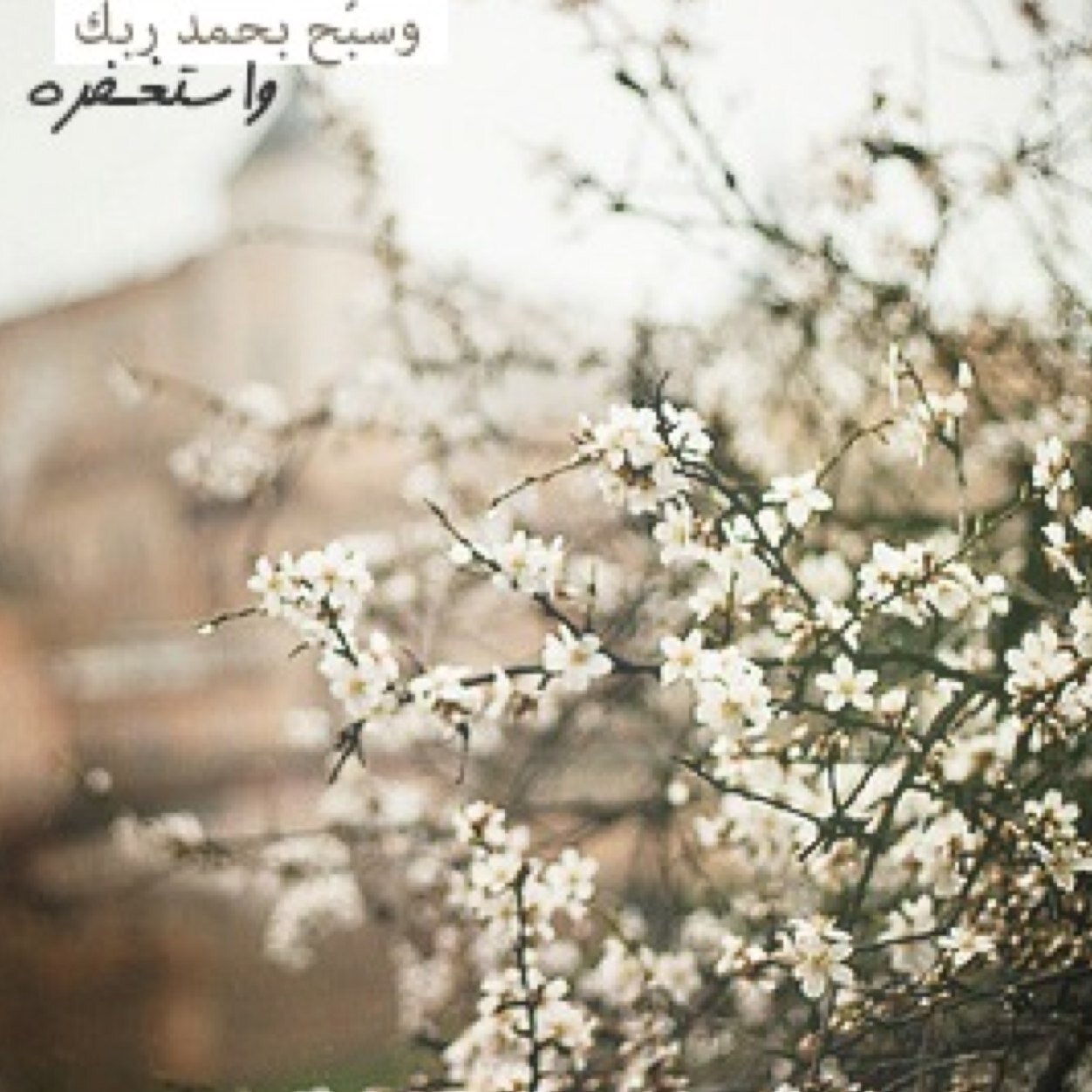 ^سبحان الله وبحمده عدد خلقه ورضا نفسه وزنة عرشه ومداد كلماته^
