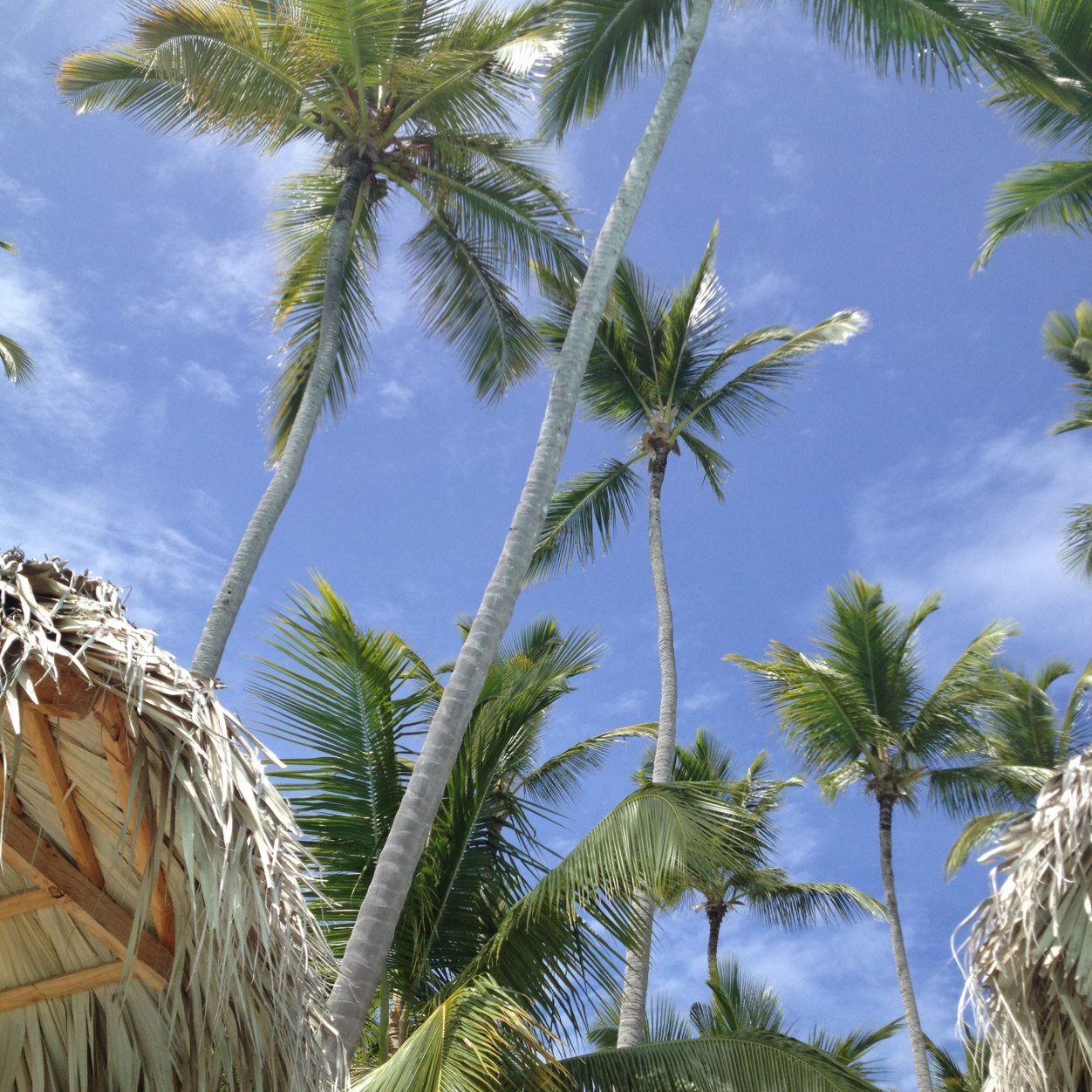 Jlynam5's profile picture. 