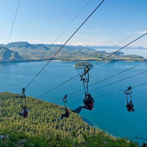 Jojogravy00's profile picture. Decent human being, enjoys golf