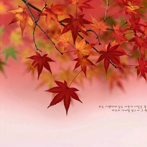 gvmedaisies's profile picture. I am So blessed I have 2 wonderful children and a Jack Russell. Thank you God