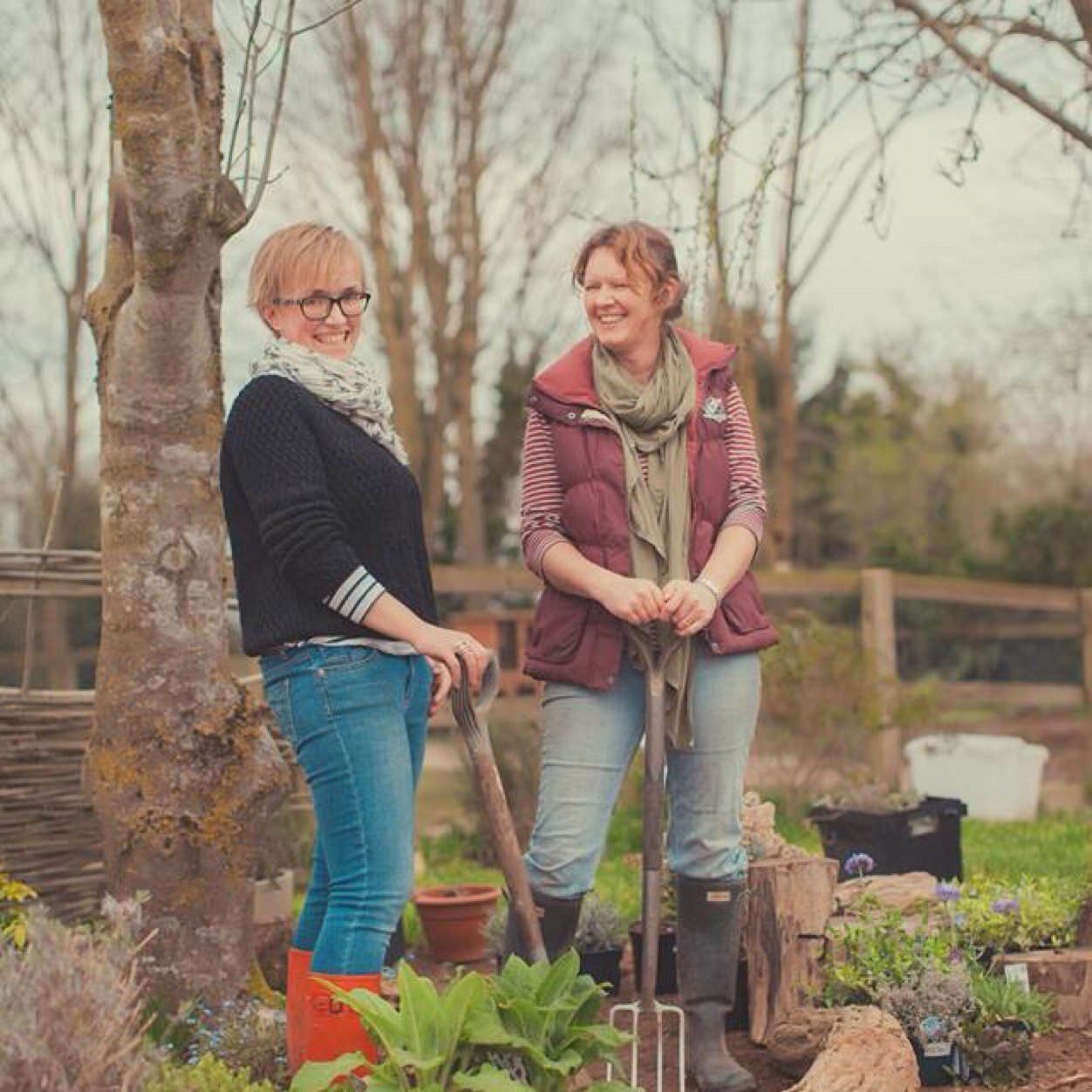 Fabulous flower garden now in full bloom at Hartley Farm-shop, supplying flowers to Young Blooms Florist.