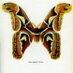 piruchamarley (@piruchamarley) Twitter profile photo piruchamarley (@piruchamarley) Twitter profile photo