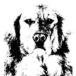 GrumpyGold's profile picture. Grumpy Golden Entertainment is a Production Company formed by Byron Jordan Wolter to produce Commercials, Web Films, TV shows and Narrative Films.