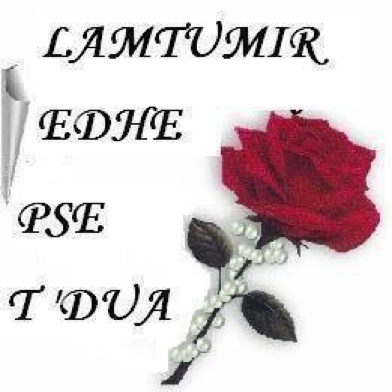 GvXapi's profile picture. 