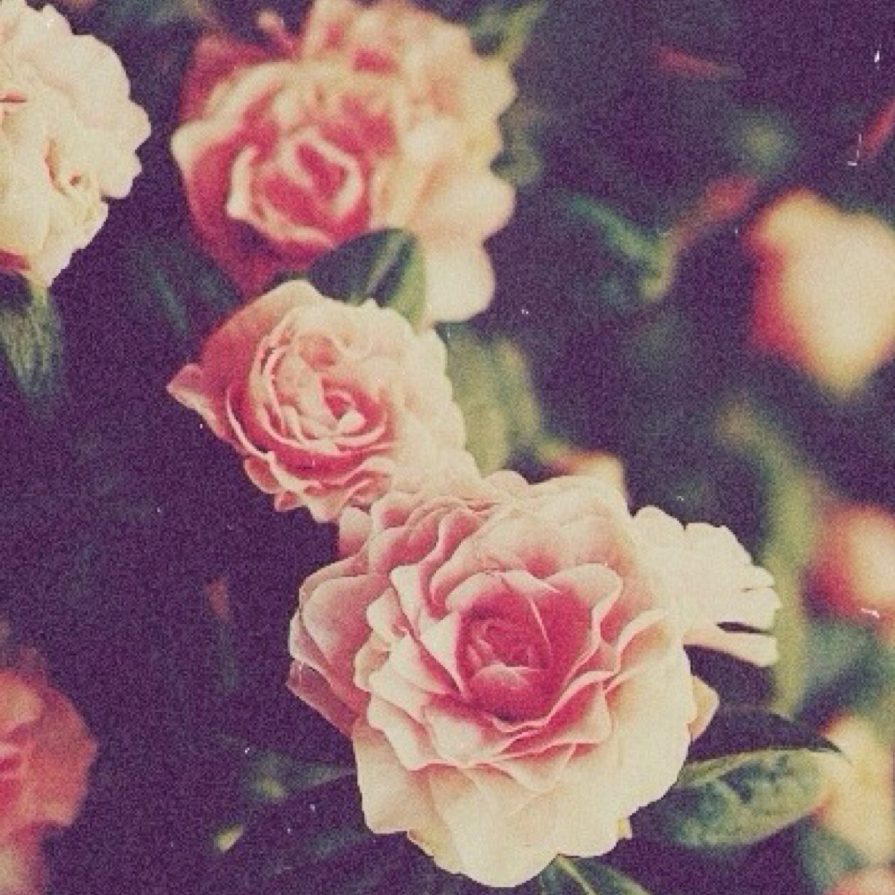 lilsecret26's profile picture. الفَتاةُ التي تَعشق ما لا يُمكِنها امتِلاكُه.